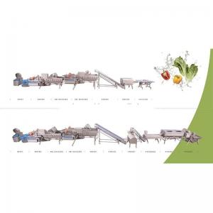 China 100kg/H Industrial Grade Fresh Vegetable Washing And Drying Machine SS304 supplier