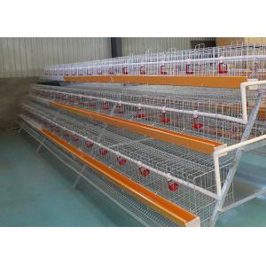 A Type Layer Chicken Cage