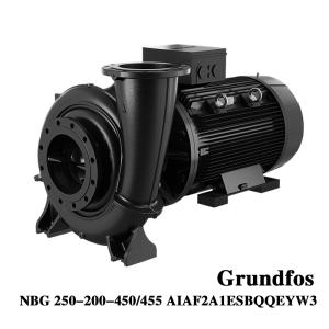 China Grundfos NBG 250-200-450/455 自動開封しない単段ボルト遠心ポンプ 水ポンプ 高流量ポンプ ボルトキャッシングポンプ wholesale