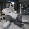 China Life Size Realistic Animatronic Animals 200W Size Custom Interactive Talking Cat wholesale