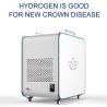 China Portable Hydrogen Inhalation Machine with 900ml Hydrogen Gas 600ml Hydrogen Output and 300ml Oxygen Output for Household Use wholesale