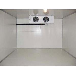 Modular Walk In Cold Room Panel PVC Painted Steel Stainless Steel White Light Polyurethane