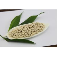 China Crispy Taste Sunflower Seeds Snack  Coconut  Hard Texture Good For Stomach on sale