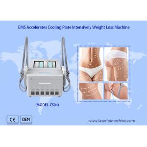 China Ems Fat Reduce Cryo Plate Machine With 4 Cooling Pads supplier