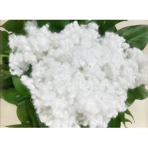 China recycle HCS polyester staple fiber in 3dx76mm for filling application supplier