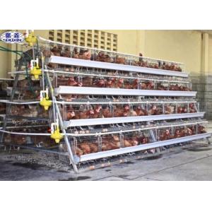 China 10000 Egg Layer Chicken Cage / Poultry Farm Layer Cage Customized Service supplier