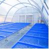 China Stable Structure Vegetable and Herb Drying Greenhouse with Advanced Ventilation Technology wholesale