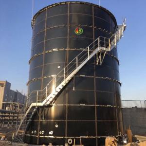 China Biogas Palm Oil Methane Biogas Plant Waste Biogas Plant supplier