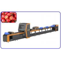 China Mechanical Automatic Sorting Machine Electric Drive 1 Channel Cherry Tomato Sorter on sale