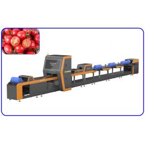 Mechanical Automatic Sorting Machine Electric Drive 1 Channel Cherry Tomato Sorter