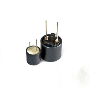 China Através da ferrite do indutor do poder do mergulho do furo bobina protegida supplier