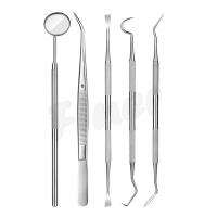 China Dental Tools Mouth Mirror Dental Hygiene Kit For Teeth Cleaning on sale