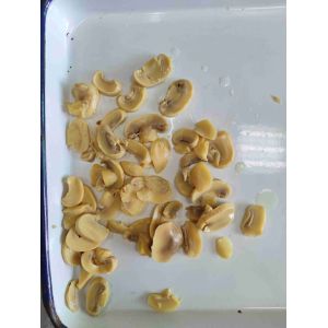 China 塩水 処理 保存 さ れ た キノコ を 涼しく 乾燥 し た 場所 で 保存 する wholesale