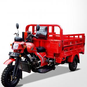 Motorized 3 Wheel Cargo Motorcycle 200CC with Heavy Load Cargo Box and Chassis 50*100