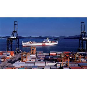 Amazon FBA Walmart Warehouse Freight Forwarder Shipping To USA Dropshipping Agent