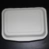 Natural Compostable Refrigerable Bagasse Food Containers