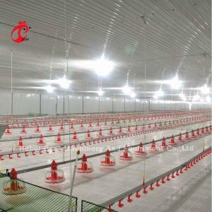 Stainless Steel Floor Type Poultry Farm Equipment Automatic Feeding And Drinking System Adela