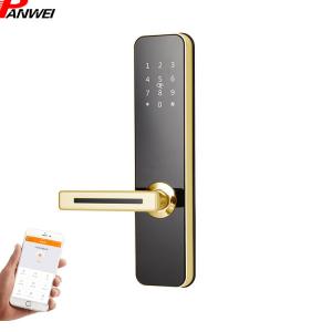 China Antique Copper Pin Code Door Lock Black Silver Customized Size Apartment supplier
