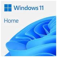 China Windows 11 Home 32/64 Bit Activation Key on sale