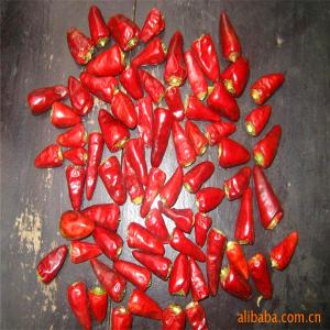 China Stemless Dried Red Bullet Chilli Round 12% Moisture 4 - 7cm supplier