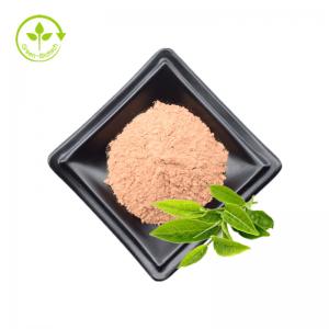 Organic Green Tea Green Instant Tea Extract Powder EGCG Powder By GMP Factory