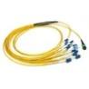 China MTP MPO パッチコード 12 24 ファイバー OM3 OM4 マルチモード シングルモード wholesale