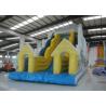 Snow Mountain Big Inflatable Water Slides , Amusement Park Commercial Grade