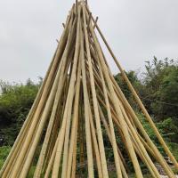 China Natural Garden Bamboo Sticks For Indoor Outdoor Tomatoes Potted Plants Support Stakes on sale
