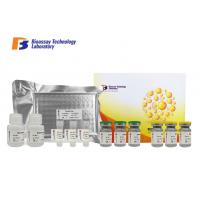 China 1.53ng/L Specificity Canine ELISA Kits Vasoactive Intestinal Peptide VIP ELISA on sale