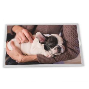 China Modules LCD avec interface LVDS de panneau LCD TFT-LCD A-Si M238HAN03.0 de haute qualité 23,8 pouces 1920*1080 supplier