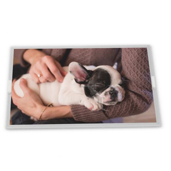 M238HAN03.0 Panel High Quality 23.8 Inch 1920*1080 A-Si TFT-LCD LVDS Interface LCD Modules