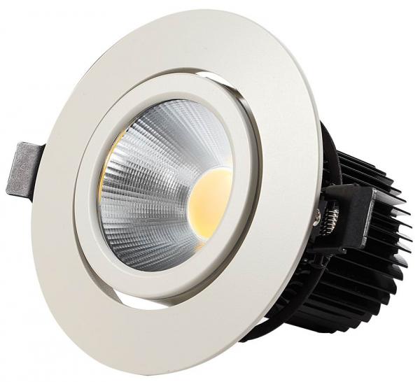 10W Aluminum with Finish Dimmable High Power LED Downlight 75mm Cut-out ( CE,