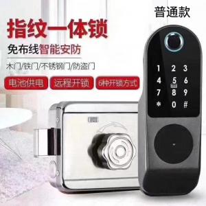 China Smart Door Lock fingerprint sensor door lock smart front door locks supplier