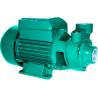 0.75HP 0.55KW Domestic Clean Water Pump For Pool Pumping / Garden Sprinkling