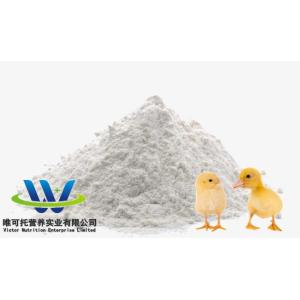 China Feed Grade Customization Customized Request L-Lysine HCl wholesale