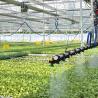 China Venlo Glass Greenhouse for Lettuce Hydroponics Stable Structure wholesale