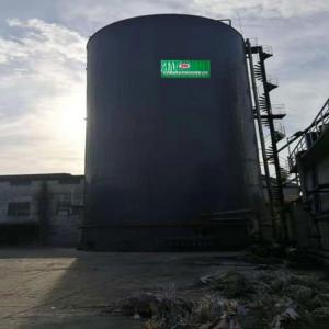 Cow Dung Biogas Chp Plant EGSB CHP Wastewater Treatment Plant