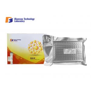 China 96 Wells 48 Wells Mouse MGP Sandwich ELISA Kit With Strong Sensitivity and Specificity wholesale