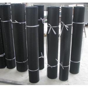 Expanded wire screening,plastic coated expanded metal,Royal manufacturer