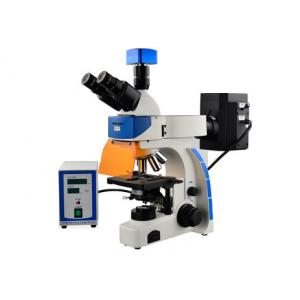 China Trinocular Biology Lab Microscope 40X 100X Epi Fluorescence Microscope supplier