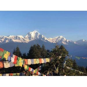 China Easy Grade Nepal Trekking Tour 10 Day'S Annapurna Panoramic Trek supplier