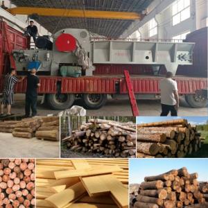 China 3-30kw Customized Wood Shredding Machine Commercial Tree Branch Grinder supplier