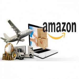 China Amazon fba cargo delivery transportation from China  fba shipping agent from china to amazon Japan supplier