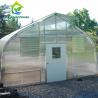 9.6m Width Peach Type Roof PC Sheet Greenhouse Hot Galvanized Pipe Greenhouse