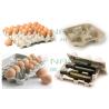 China Pulp Molded Waste Paper Rotary Egg Tray Machine 220V - 450V ISO9001 Approved wholesale
