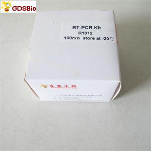 China RNA Reverse Transcriptase RT-PCR Reagents First Strand CDNA Synthesis Kit R1011 R1012 supplier