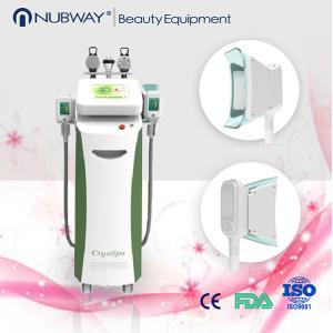 China 1のCryolipo、キャビテーションおよびRF 3の技術の結合 wholesale