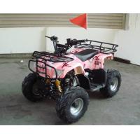 China Single Cylinder 110cc Atv Quad Bike SHINERAY 4 Stroke With Rear Rack on sale