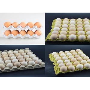 China Large Capacity Pulp Molding Equipment Egg Tray Egg Carton Production Line supplier
