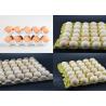 CE Approved Paper Egg Tray Making Machine Egg Carton Machine Low Noise